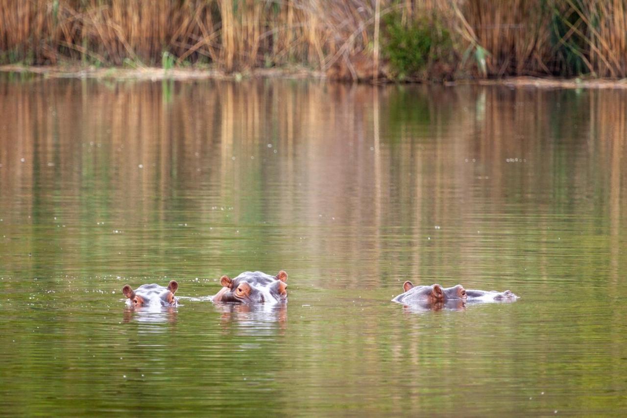 Lejwe La Metsi Private Reserve Bela-Bela Bagian luar foto